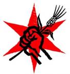 Revolution Brewing - Anti-Hero IPA (21)