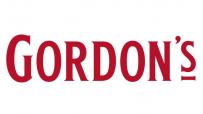 Gordon's Vodka (750ml) (750ml)