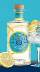 Malvy Gin - Con Limone (750ml) (750ml)