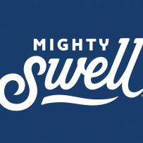 Mighty Swell - Blackberry Spiked Seltzer (355ml) (355ml)