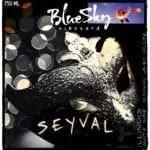 Blue Sky Vineyard - Seyval (750)