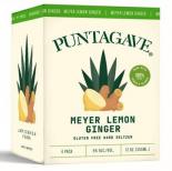 Puntagave - Meyer Lemon Ginger Hard Seltzer 0 (750)